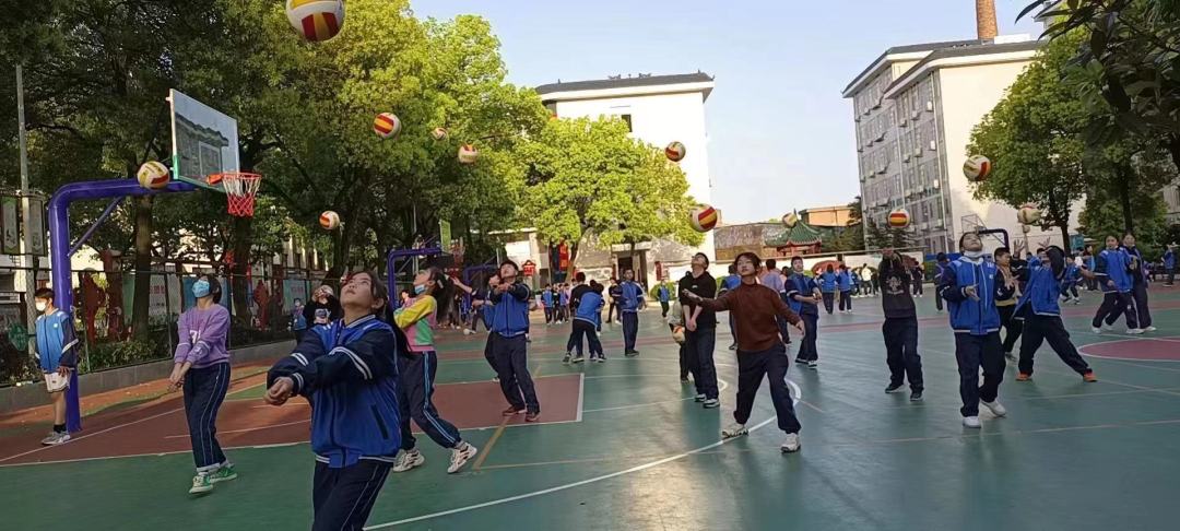 排球社团.jpg